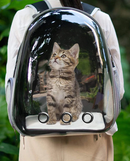 TOPBubble - Bolsa para animais de estimação